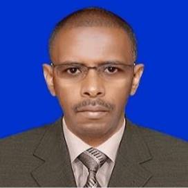 HAITHAM EISA HASSAN ALI