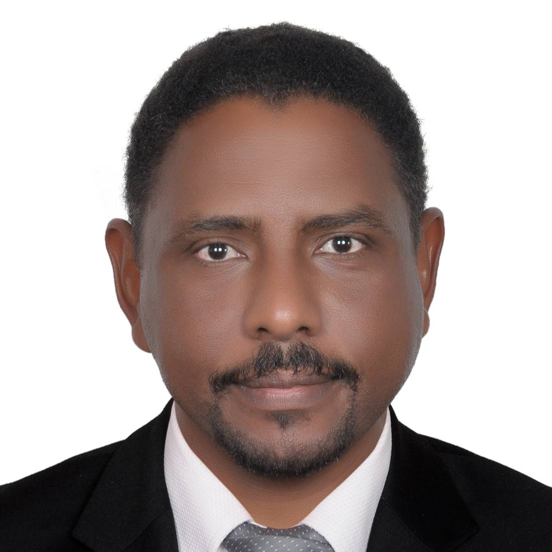 Mohammed Abdelseed Eltahir