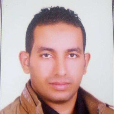 Amr Mohamed EL Sagheer