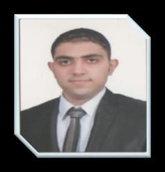SHADY GAMAL AMER