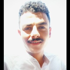 Mahmoud Mohamed