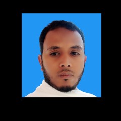 Salahuddin Salahuddin