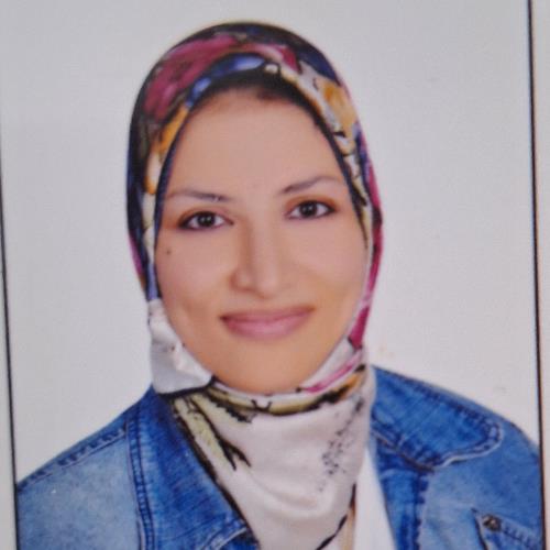 Noha Shetta