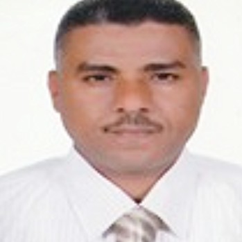 ABDELNASER MOHAMED ABOUZEID