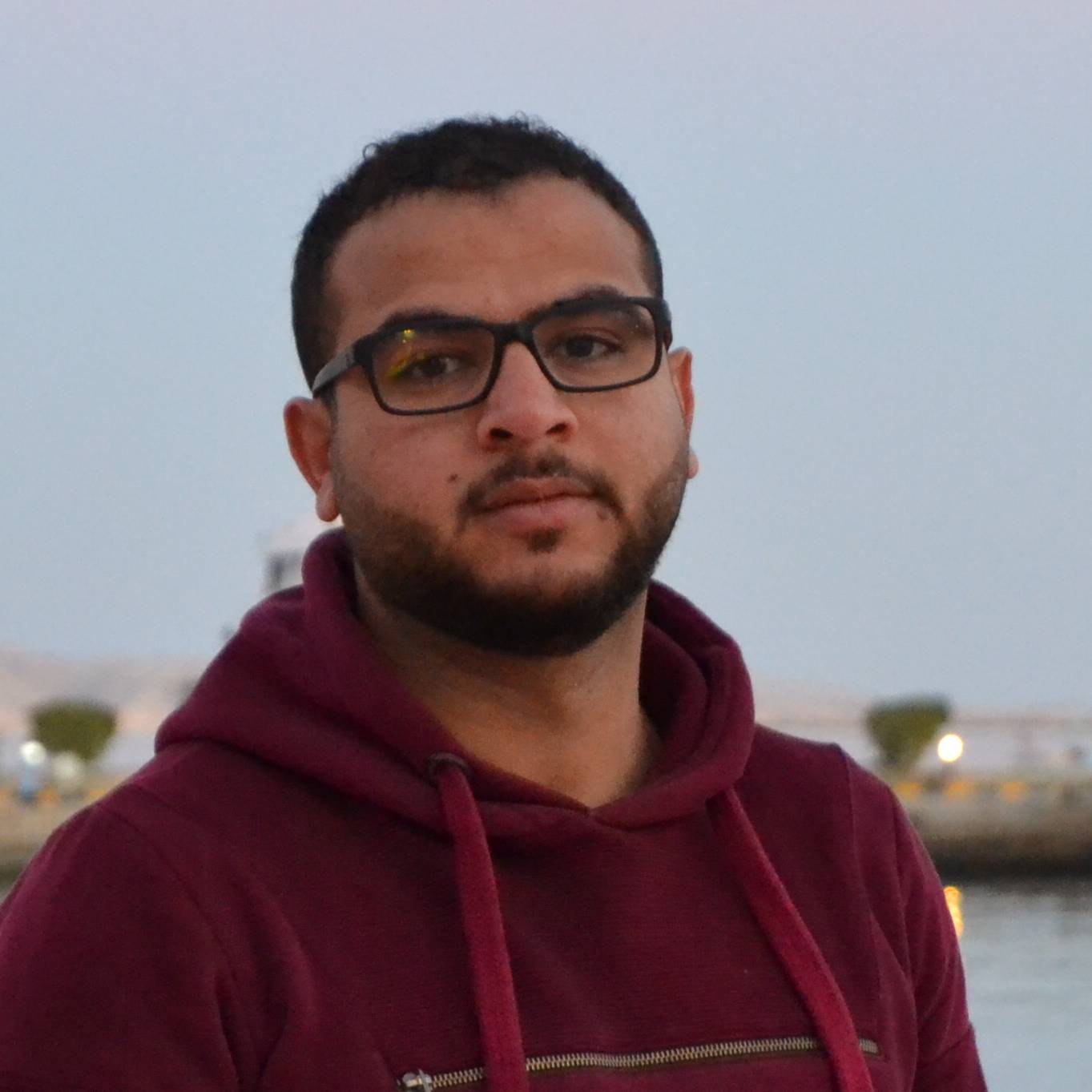 Ahmed Salem
