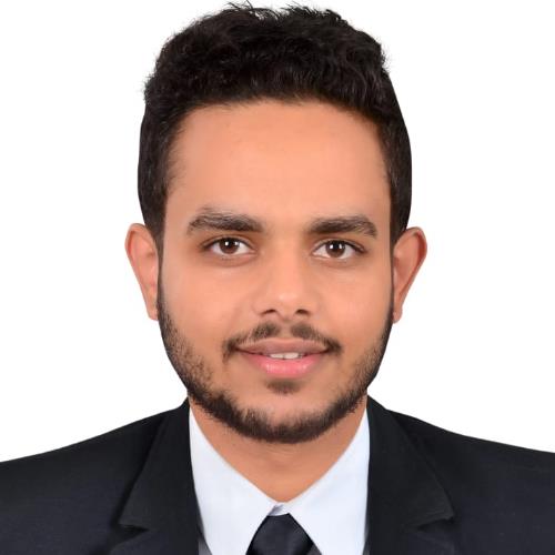 Mohamed Fawzi Abdel- Gawad