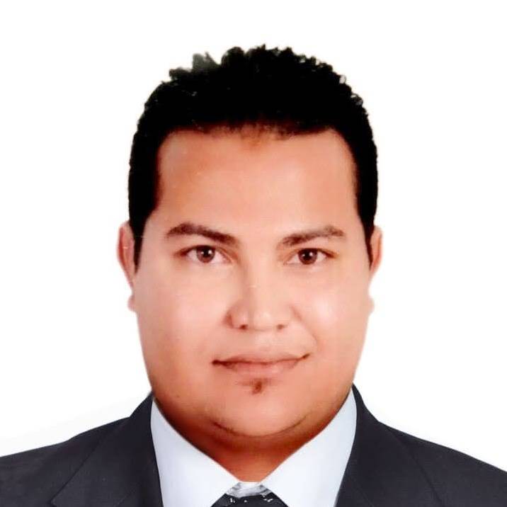 Mohamed Hussien Arfa