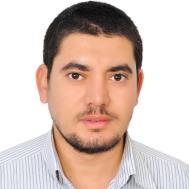 Mohamed Hassan