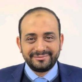 Ramy A. Elgendy
