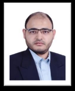 Bahaa Gamal Hanfy
