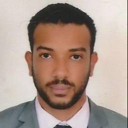NASR ELDIN HAMID