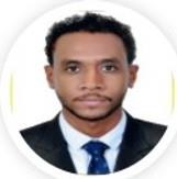 Ziad H. Bashir