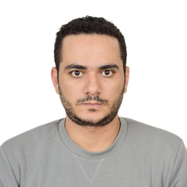 Ahmed Aboueita