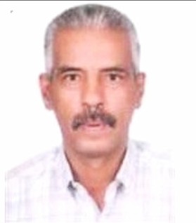 Mohsen Sadek Mohamed Mahmoud