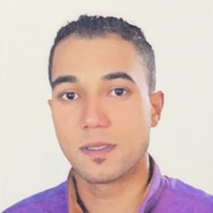 Ibrahim Gamal Elwan Ismail